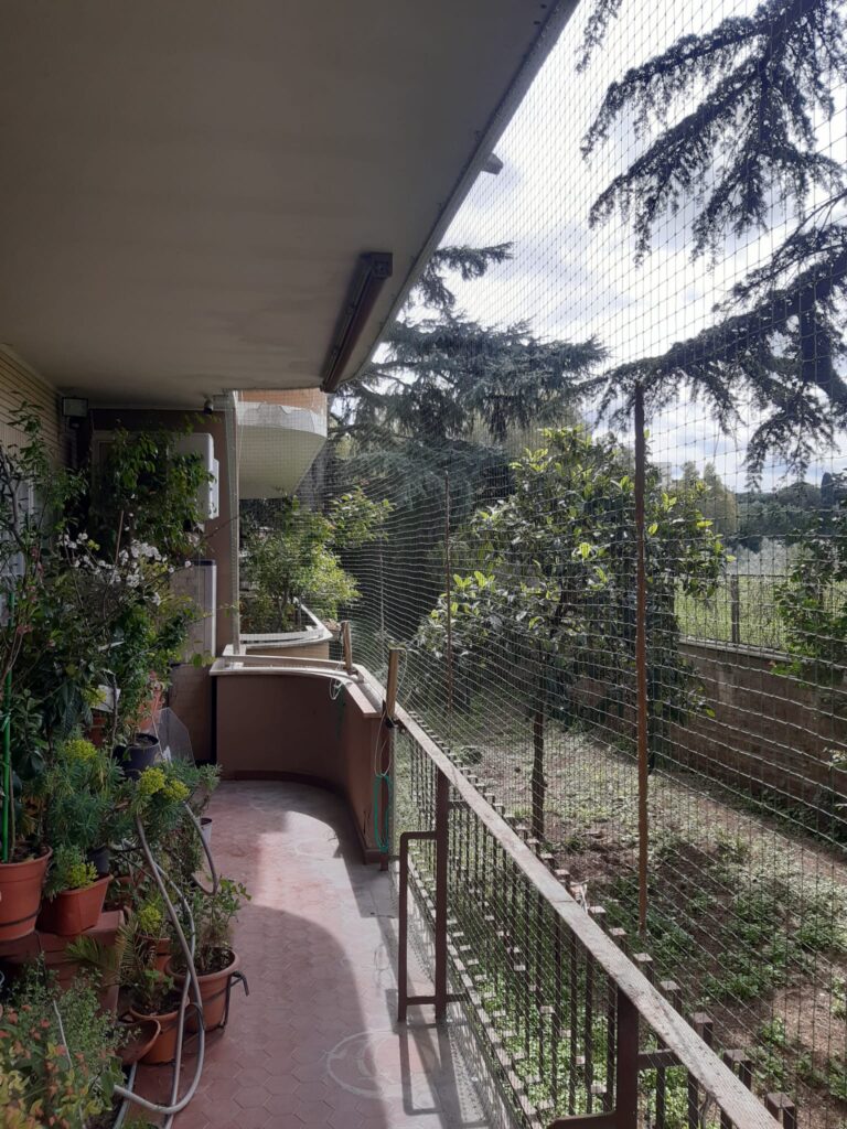 Sicurezza Elegante per Gatti: Reti Anticaduta Balcone Sicuro