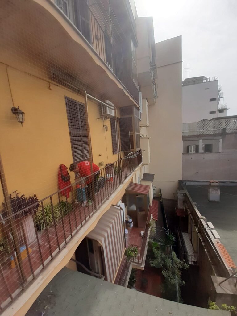 Innovazione e Sicurezza: Reti Anticaduta Balcone Sicuro per il Tuo Gatto