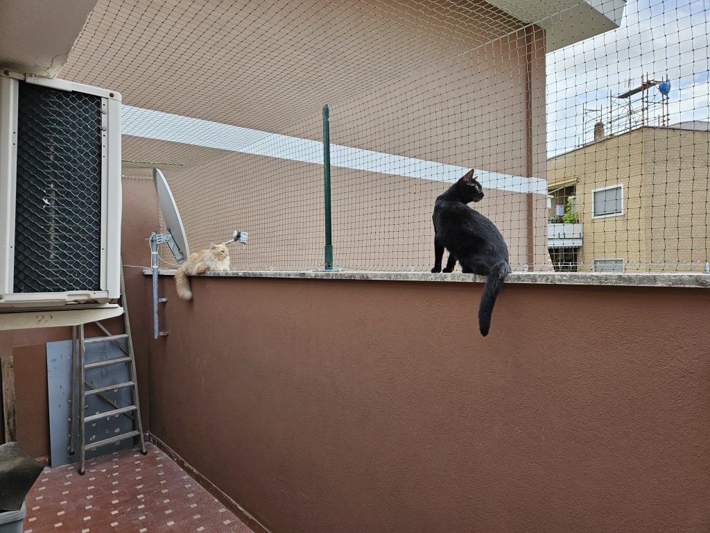 Balcone Sicuro: Reti Anticaduta per la Sicurezza dei Tuoi Gatti e Animali Domestici