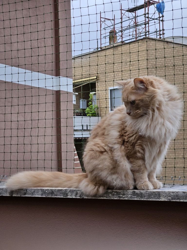 Balcone Sicuro: Reti Anticaduta per la Sicurezza dei Tuoi Gatti e Animali Domestici